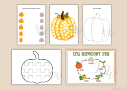 DZIEŃ DYNI - ZESTAW