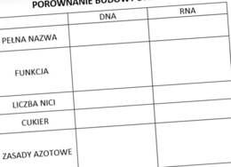 Porównanie budowy DNA i RNA (karta pracy)