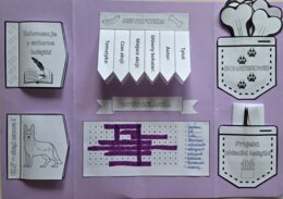 Lapbook – „Sposób na Elfa” + test ze znajomości lektury + kod QR do testu