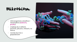 Układ pokarmowy 3 KLASA ROZSZERZONA BIOLOGIA