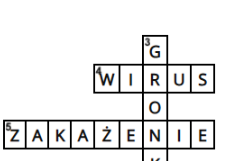 Krzyżówka 2- bakterie i wirusy