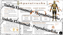 Sketchnotka - notatka „Aparat ruchu. Budowa szkieletu” wykonana w power point do edycji. Biologia 7; „Aparat ruchu”
