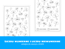 Matematyka. Klasa 8. Liczby wymierne i liczby niewymierne. Wklejka do zeszytu. Jesień. Szkoła podstawowa.