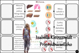 Notatka okienkowa/stacja zadaniowe/notatka/notatka graficzna/karta pracy/sketchnotka „Podziały komórkowe”, „Mitoza i mejoza”, „Znaczenie biologiczne mitozy i mejozy” w pdf. Biologia 8 dział „Genetyka”. Materiał wykonany na podstawie podręcznika z wydawni