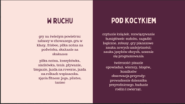 Model aktywnego spędzania czasu