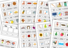 Zaimki wskazujące - dla początkujących.