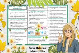 Sketchnotka/notatka - dla ucznia i przypomnienie dla nauczyciela w pdf. Temat "Rośliny - organizmy samożywne". Przyroda 4. "Odkrywam przyrodę" zgodna z wydawnictwem Nowa Era. Dział "Jak działają organizmy?".