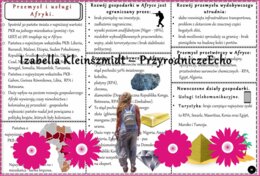 Sketchnotka/książeczka/notatka/wklejka/ściąga dla ucznia i przypomnienie dla nauczyciela/edukacja domowa. Temat „Przemysł i usługi w Afryce”. Materiał w pdf. Geografia 8, dział „Afryka”. Nowość 2024/2025.