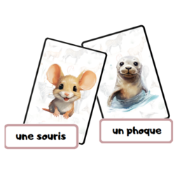 Les animaux sauvages, Dzikie zwierzęta, język francuski, karty obrazkowe i wyrazowe FLE