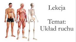 Klasa 4 - Układ ruchu - prezentacja