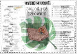 Życie w lesie - szarość