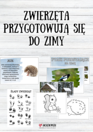 Zestaw ZWIERZĘTA PRZYGOTOWUJĄ SIĘ DO ZIMY