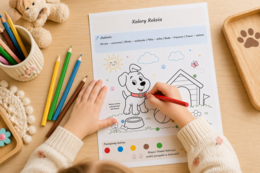 Kolory Reksia – nauka kolorów