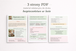 Bezpiecznie w lesie