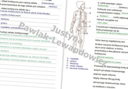 Układ limfatyczny (sketchnotka)