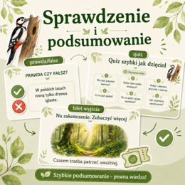 Prezentacja na lekcję. "O lasach".