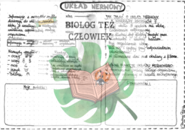 PRZYRODA - Ciało człowieka - Układ nerwowy - szarość