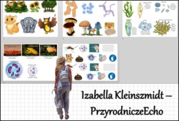 Materiał do zalaminowania/praca w grupach/stacje zadaniowe/układanka/puzzle „Różnorodność protistów” w pdf. Biologia 5, dział „Wirusy, bakterie, prostisty i grzyby”.