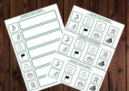 "CHŁOPCY Z PLACU BRONI" – ikonki – wklejki – karta pracy – lektury 4-6