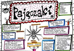 Klasa 6. Biologia. Pajęczaki (karta pracy kolorowa)