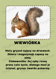 Mieszkańcy lasu – karty edukacyjne| Międzynarodowy Dzień Lasu