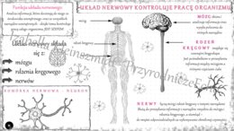 Sketchnotka „Układ nerwowy kontroluje pracę organizmu” w power point do edycji, PRZYRODA do klasy 4 – dział IV „Odkrywamy tajemnice ciała człowieka”