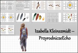 Materiał do zalaminowania/praca w grupach/stacje zadaniowe/układanka/puzzle + notatki okienkowe. „Ptaki-kręgowce zdolne do lotu”, Biologia 6 dział „Kręgowce stałocieplne”.