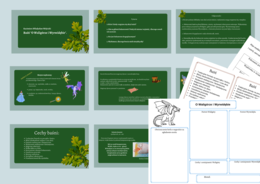 Baśń "O WALIGÓRZE I WYRWIDĘBIE" – prezentacja + 2 karty pracy + wklejka