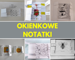 ZESTAW - Biologia - okienkowa notatka (19 notatek!)