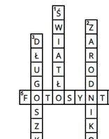 Krzyżówka- mchy, porosty i paprocie