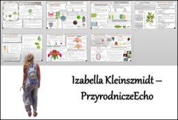 Zestaw sketchnotek/notatek/streszczeń/wklejek/ściąg dla ucznia i nauczyciela w pdf. Biologia 5 dział „Tkanki i organy roślinne”. Notatki zostały wykonane na podstawie podręcznika z wydawnictwa WSiP.