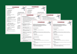 PRZEMÓWIENIE - wklejka – 3 wklejki - ćwiczenia redakcyjne - egzamin