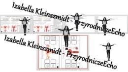 Kompletny zestaw na jedną lekcję „Układ rozrodczy umożliwia wydawanie na świat potomstwa ” – sketchnotka + karty pracy w power point + gratisowy link do prezentacji multimedialnej niekomercyjnej + gratisowy link do lekcji multimedialnej niekomercyjnej ró