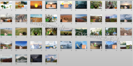 Prezentacja w power point „Szata roślinna na Ziemi”. Geografia 1, Dział VII „Pedosfera i biosfera”. OBLICZA GEOGRAFII 1