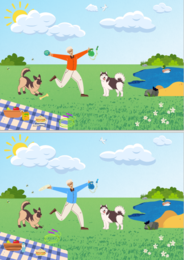 Znajdź różnice - pakiet