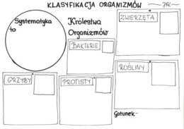 Klasyfikacja organizmów (karta pracy)