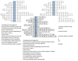 Logogryf dla klasy 6 jako wprowadzenie do lekcji o parzydełkowcach