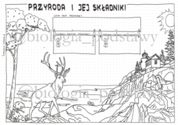 Klasa 4 - Przyroda i jej składniki - KP