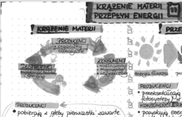 Krążenie materii i przepływ energii - EKOLOGIA - szarość