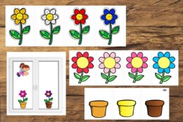 Dzień Kobiet - zestaw