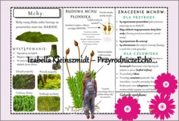 Sketchnotka/książeczka/notatka/wklejka/ściąga dla ucznia i przypomnienie dla nauczyciela/edukacja domowa. Temat „Mchy”. Materiał w pdf. Biologia 5, dział „Różnorodność roślin”. Nowość 2024/2025.