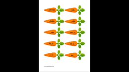 Zestaw „Logopedyczne marchewki” - utrwalanie głosek