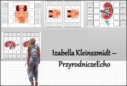 Notatka okienkowa „Budowa układu wydalniczego”, „Budowa nerki”, „Budowa i działanie układu wydalniczego” w pdf. Biologia 7 dział „Układ wydalniczy”.