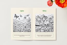 Kolorowanki. Zwierzęta. Rośliny. Grzyby. Ekosystemy