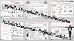 Zestaw sketchnotek – notatek do całego działu „Świat zwierząt” wykonanych w power point do edycji. Biologia 6