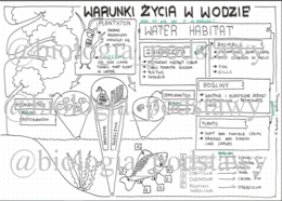 Klasa 4 -Warunki życia w wodzie - sketchnotka