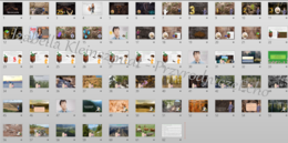 Prezentacja w power point „Gleby na kuli ziemskiej”. Geografia 1, Dział VII „Pedosfera i biosfera”. OBLICZA GEOGRAFII 1