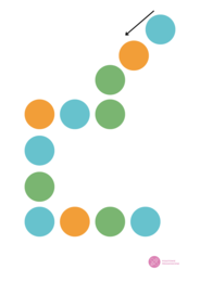 Zestaw ćwiczeń obupółkulowych- 24 karty