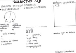 Rolnictwo w Azji - KP