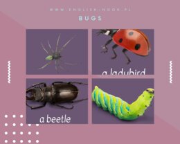 Angielski. Robaczki - Bugs